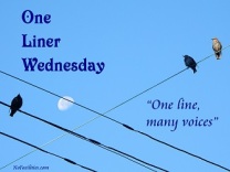 Image result for one liner wednesday