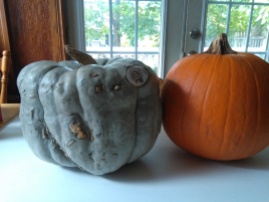 It's the Frankenstein of pumpkins